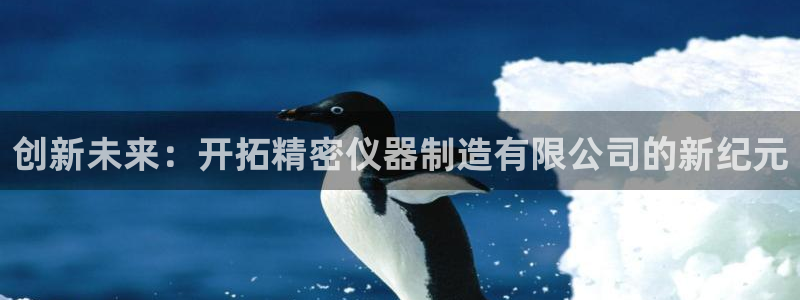 cq9电子版：创新未来：开拓精密仪器制造有限公司的新纪元