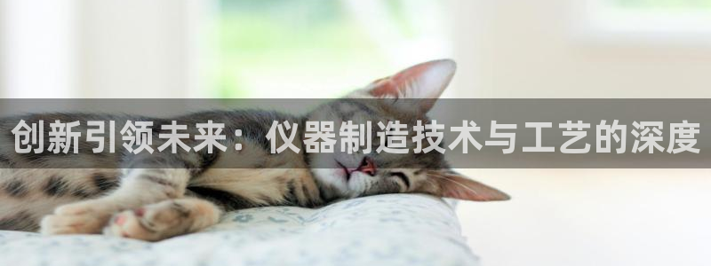 cq9电子老虎机：创新引领未来：仪器制造技术与工艺的深度
