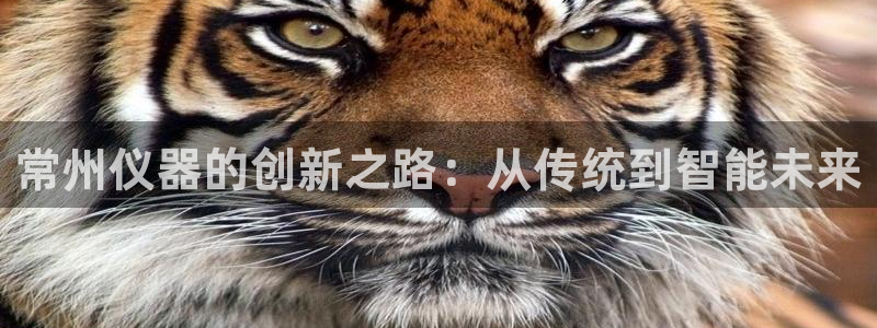 cq9电子宙斯盾：常州仪器的创新之路：从传统到智能未来