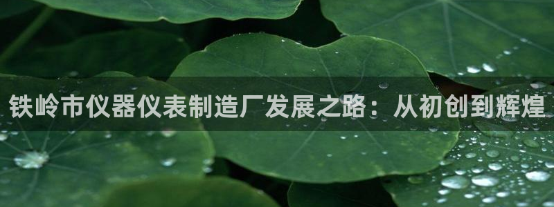 cq9电子非常钻：铁岭市仪器仪表制造厂发展之路：从初创到辉煌