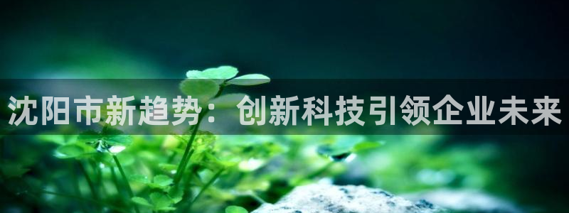 cq9电子游戏囍：沈阳市新趋势：创新科技引领企业未来