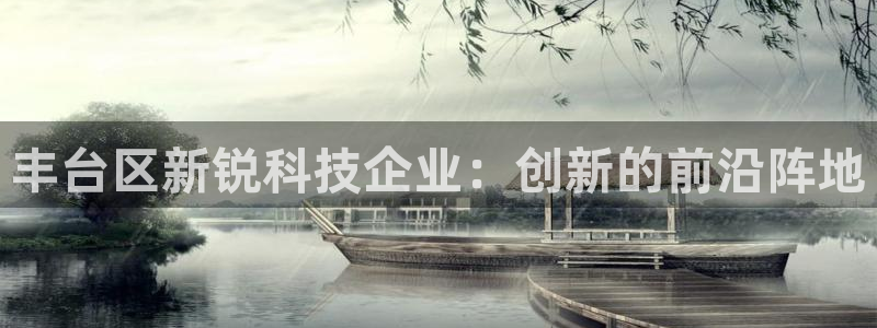 cq9传奇电子图片：丰台区新锐科技企业：创新的前沿阵地