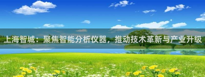 cq9电子这市集绝了：上海智城：聚焦智能分析仪器，推动技术革