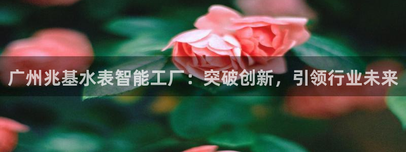 cq9传奇电子公司：广州兆基水表智能工厂：突破创新，引领行业