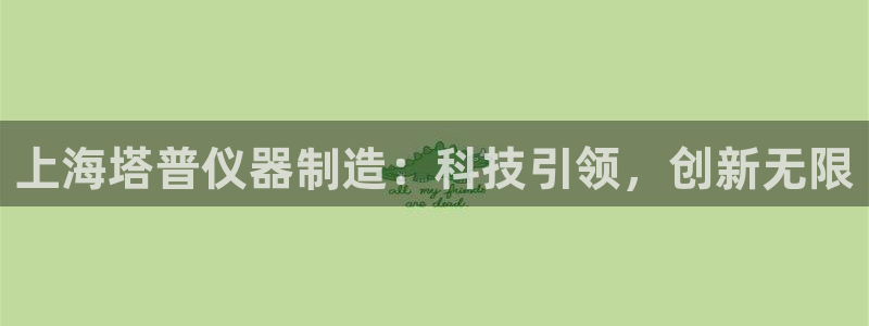 国外cq9电子比赛：上海塔普仪器制造：科技引领，创新无限