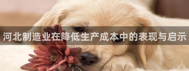 cq9电子压分：河北制造业在降低生产成本中的表现与启示
