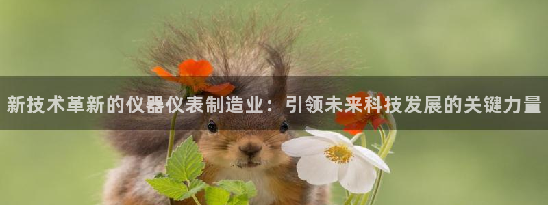 电子游戏cq9漏洞：新技术革新的仪器仪表制造业：引领未来科技