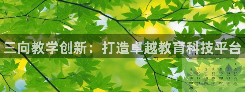 电子cq9玩法技巧：三向教学创新：打造卓越教育科技平台
