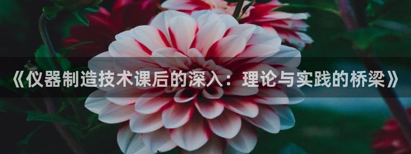 传奇电子cq9博彩网站：《仪器制造技术课后的深入：理论与实践