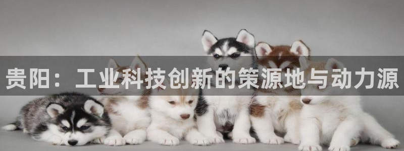 cq9电子蹦迪游戏：贵阳：工业科技创新的策源地与动力源