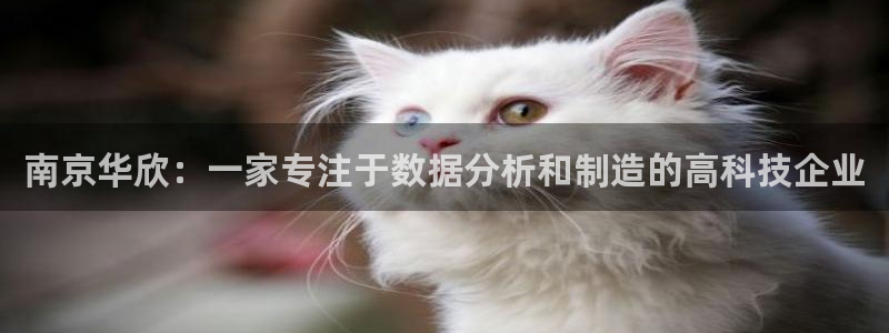 cq9电子试玩2000：南京华欣：一家专注于数据分析和制造的