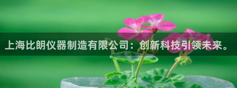 cq9电子完整视频：上海比朗仪器制造有限公司：创新科技引领未