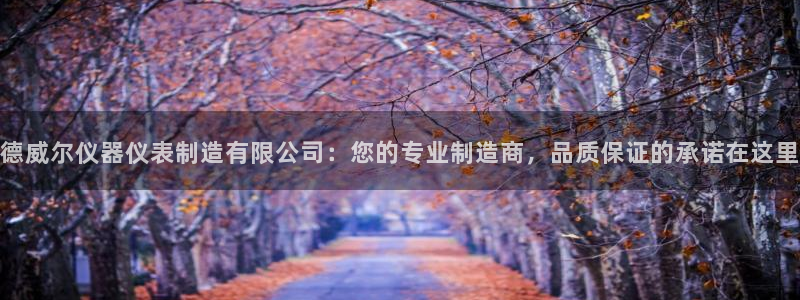 cq9电子游戏外挂：德威尔仪器仪表制造有限公司：您的专业制造