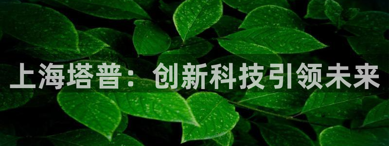 CQ9热门电子游戏：上海塔普：创新科技引领未来