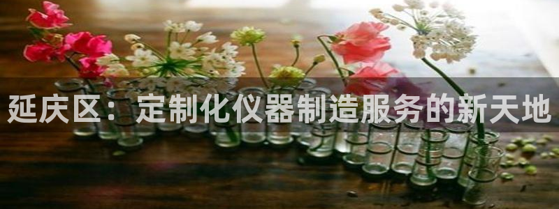 cq9电子游戏网址多少：延庆区：定制化仪器制造服务的新天地