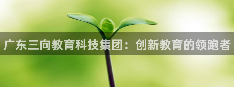 传奇cq9电子游戏：广东三向教育科技集团：创新教育的领跑者