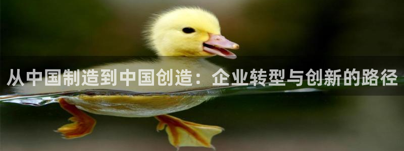 cq9电子武城：从中国制造到中国创造：企业转型与创新的路径