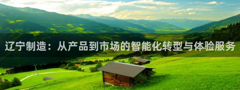 电子游戏cq9传奇电子：辽宁制造：从产品到市场的智能化转型与