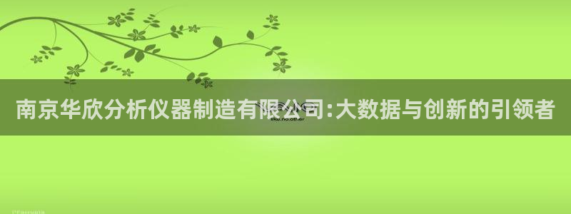 cq9电子水果派对：南京华欣分析仪器制造有限公司:大数据与创