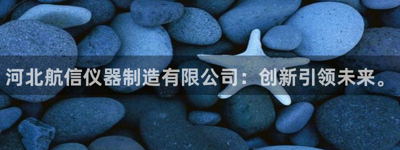 直式蹦迪CQ9电子：河北航信仪器制造有限公司：创新引领未来。