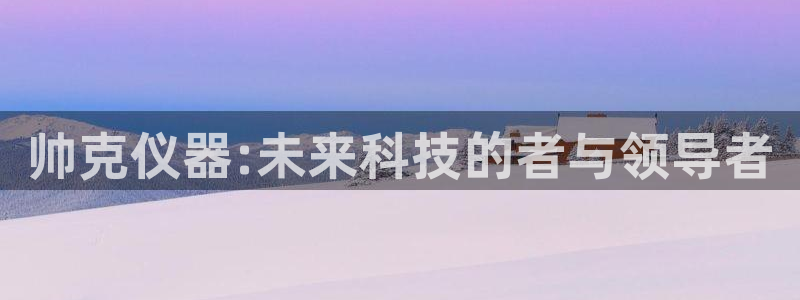 Cq9的电子图：帅克仪器:未来科技的者与领导者