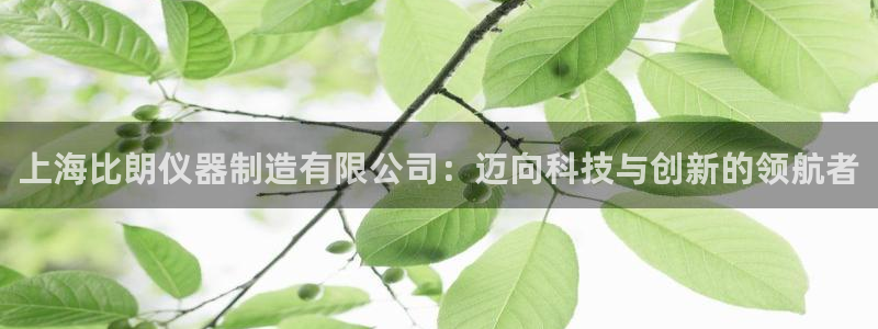 传奇电子cq9交流群：上海比朗仪器制造有限公司：迈向科技与创