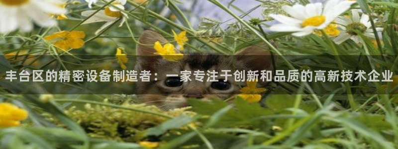 正规cq9电子平台：丰台区的精密设备制造者：一家专注于创新和