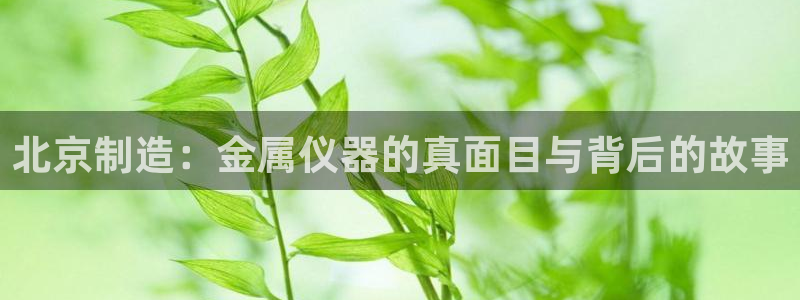 cq9电子那个平台好：北京制造：金属仪器的真面目与背后的故事