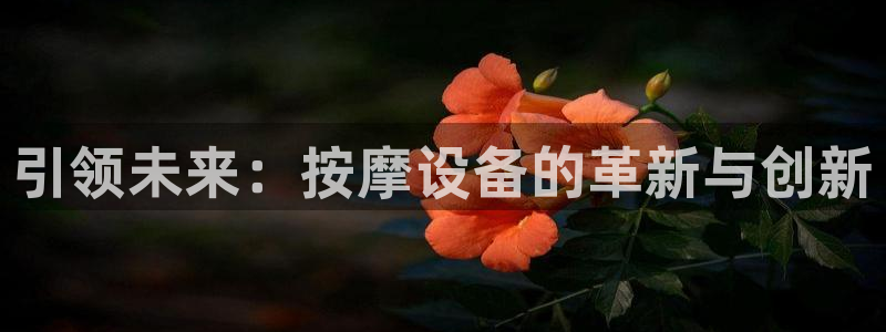 CQ9电子凡cf66：引领未来：按摩设备的革新与创新