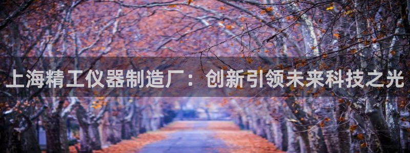 cq9电子测试：上海精工仪器制造厂：创新引领未来科技之光