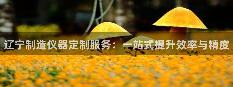 太阳cq9电子：辽宁制造仪器定制服务：一站式提升效率与精度