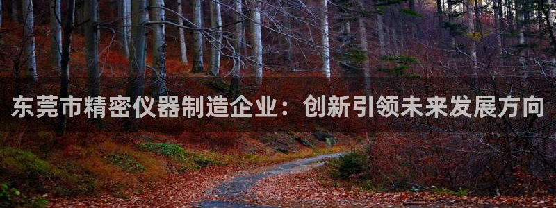 cq9电子漏洞源码：东莞市精密仪器制造企业：创新引领未来发展