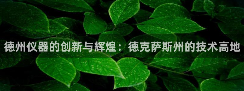 cq9电子有控制吗：德州仪器的创新与辉煌：德克萨斯州的技术高