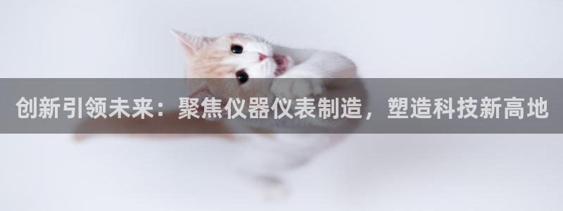 cq9传奇电子平台：创新引领未来：聚焦仪器仪表制造，塑造科技