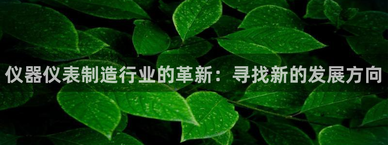 cq9电子假：仪器仪表制造行业的革新：寻找新的发展方向